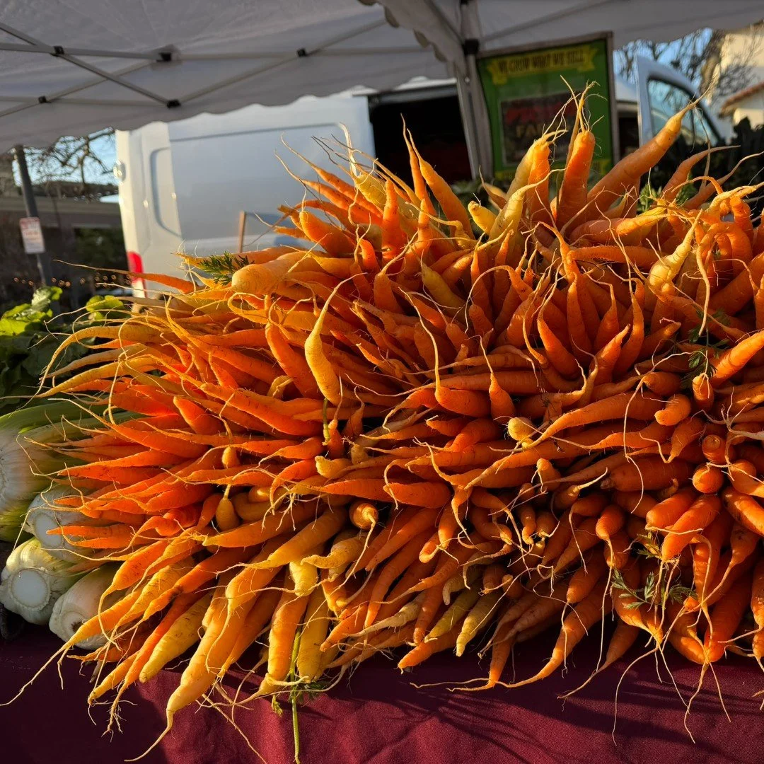 Winter produce just hits different!  Who else loves seeing produce stacked like this 🙋&zwj;♀️Head to market this Saturday from 9am to 1pm for the freshest seasonal produce and more!
.
.
#dalycityfarmersmarket #serramontecenter #dalycity