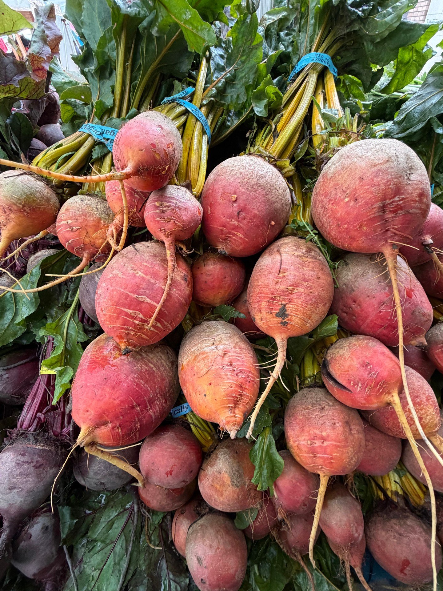 Can&rsquo;t &lsquo;beet&rsquo; a trip to the farmers&rsquo; market!  Did you know the beet greens are edible!  These greens are so tasty to saut&eacute; with garlic, onion, and olive oil!  They are similar to a leafy spinach and the stems add a nice 