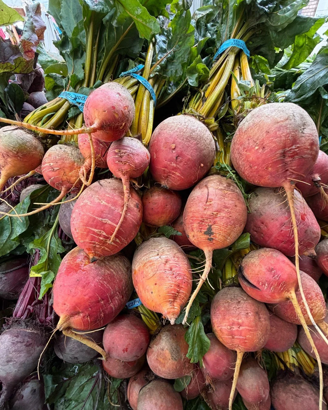 Beets are a winter produce all star! Did you know the beet greens are edible?  These greens are so tasty saut&eacute;ed with garlic, onion, and olive oil!  They are similar to a leafy spinach and the stems add a nice texture to a stir fry too! 

Plan