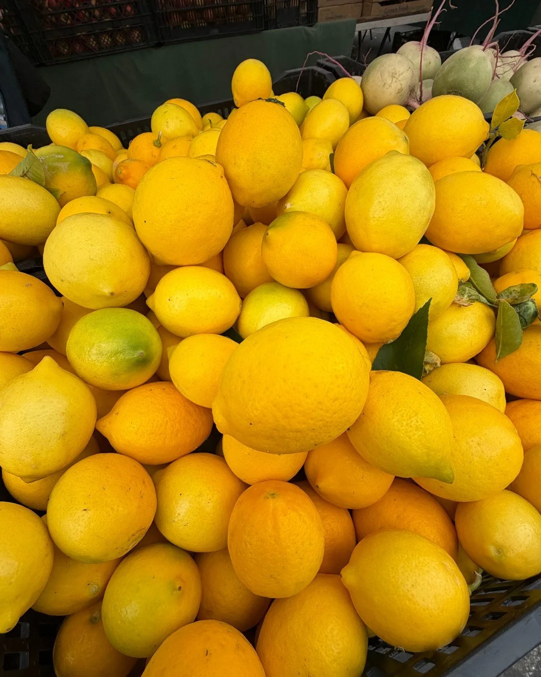 When life gives you 🍋&hellip;&hellip; What will you make?  These special fruit are so versatile and essential to many dishes!  Head to market today for the freshest seasonal produce and more!
.
.
#dalycityfarmersmarket