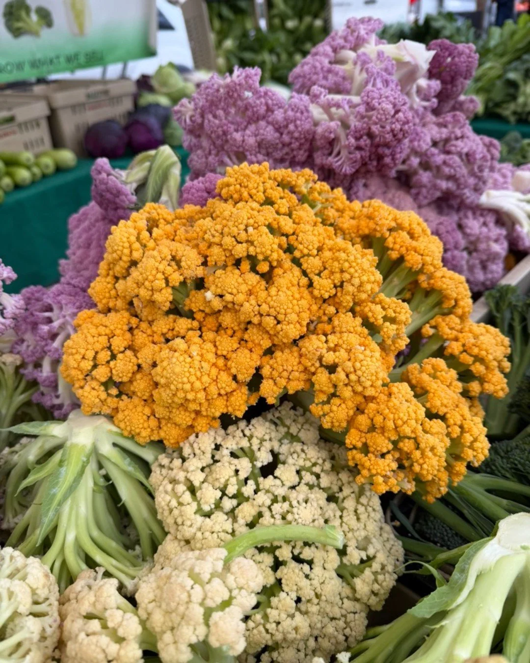 One of our favorite winter veggies:Chinese cauliflower or flowering cauliflower.  It is crunchy, delicate, and sweet!  This veg cooks quickly and makes it a great go-to for quick meals!

It is delicious raw, roasted or added to a stir fry!  Head to m