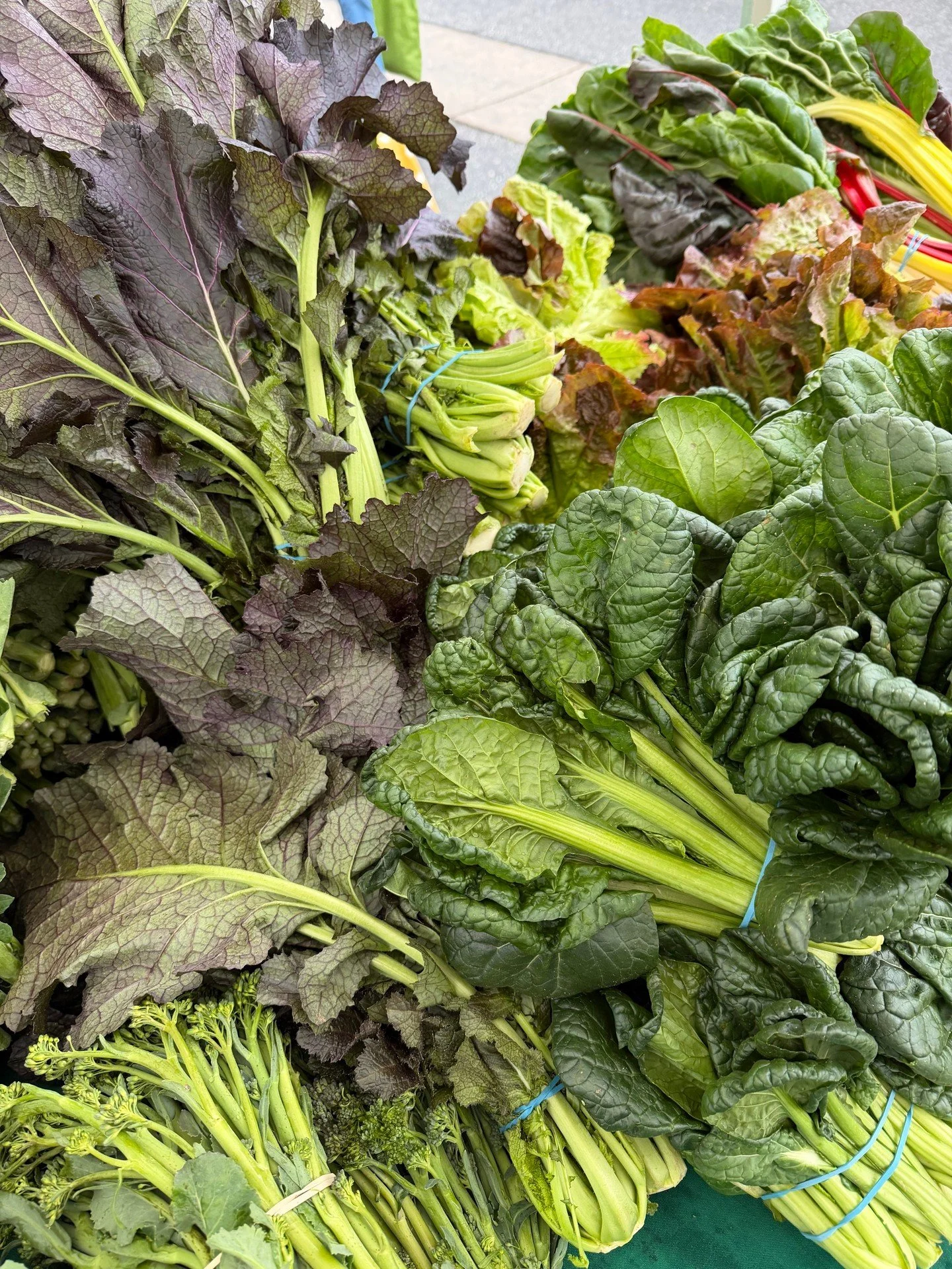 So fresh and So green!  Winter Greens 🥬 are the Best!  Soak up sunshine 🌞 and a tock up on seasonal produce and more at market today till 1pm!  #dalycityfarmersmarket