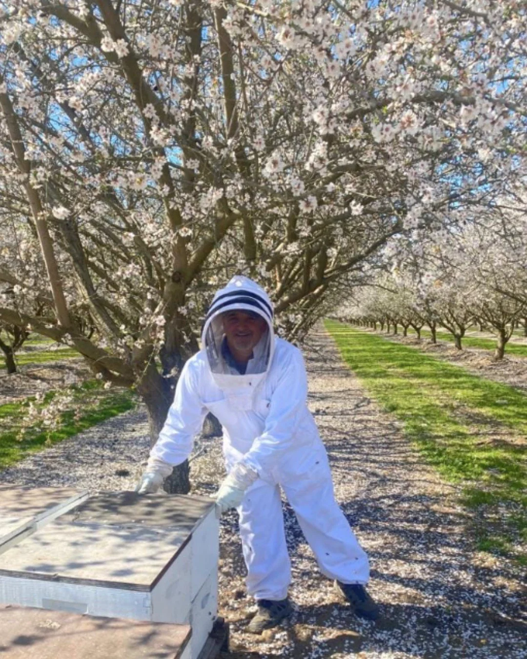 Check out this amazing photo of our local beekeeper at @ AzorBeez  Honey is an essential ingredient in many households around the world! Adding honey to hot drinks, oatmeal, pastries adds a natural aromatic sweetness. Unfiltered honey is nutrient den