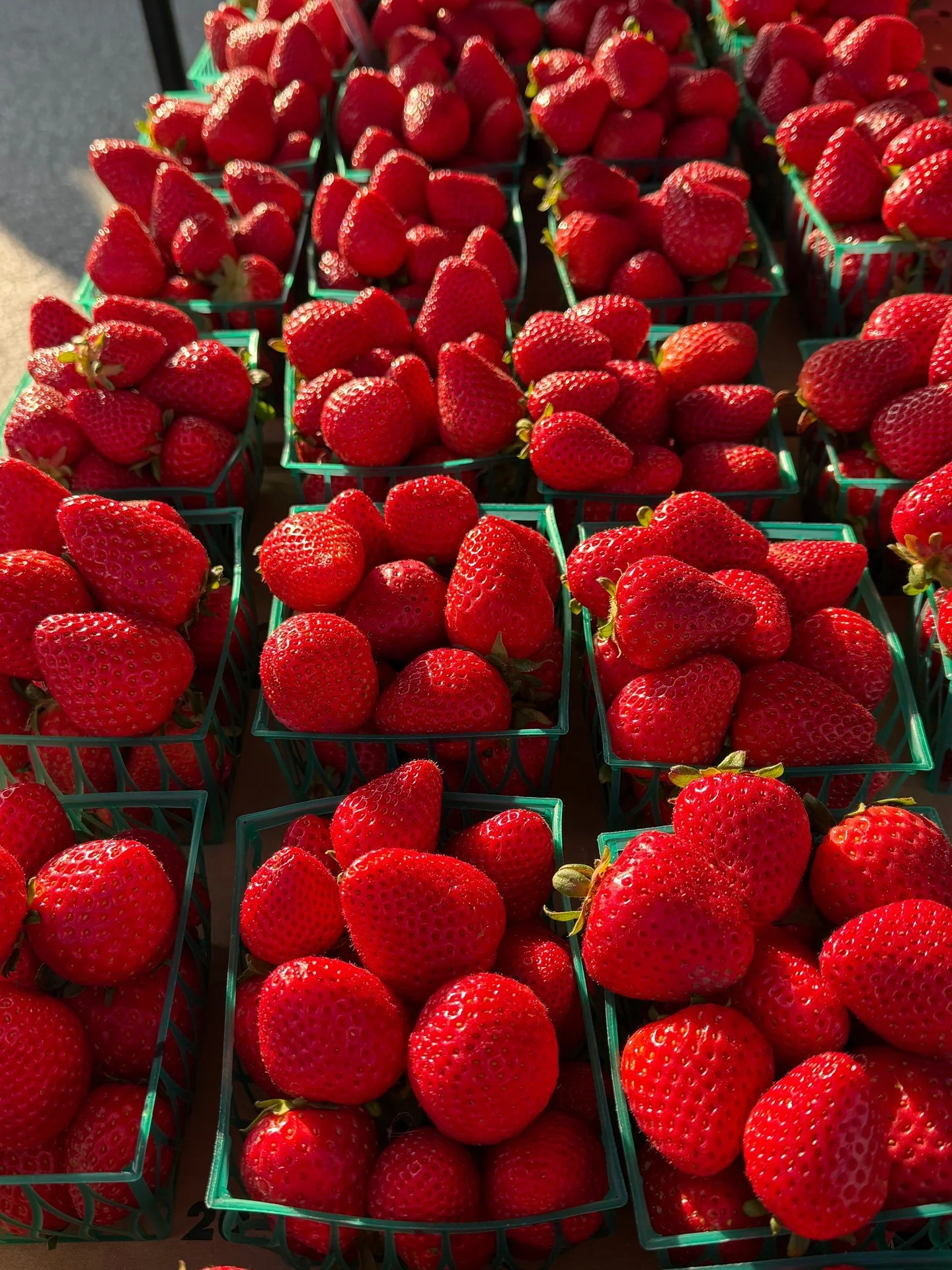 @rodriguezfarms is back! Strawberries season is starting early this year and they are bringing spring flavor! The weather we&rsquo;ve been having is speeding up spring arrivals! Get a basket or 3 today at market!