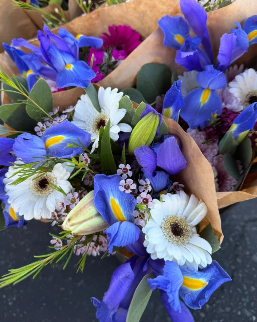 Spring is here and these are a few of our favorite to-dos when the seasons shift!
🌱 Planting Seeds or Starts: This is a wonderful time to start planning your summer garden. Warm weather crops like peppers, tomatoes, corn, beans, and summer squash ar