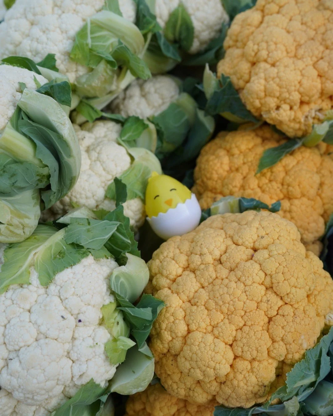 🐇 Who's ready for the Easter Egg Hunt at market THIS Saturday, April 4th!  The egg hunt will start at 11am sharp, so plan to arrive early!  Eggs will be among the vendor's stalls (not behind).

We ask older children to be kind and thoughtful of youn