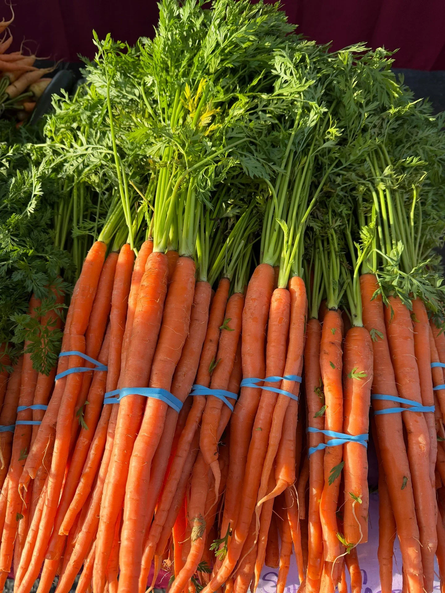 Enjoy a nice spring day at market today. A little mist makes the produce glow!