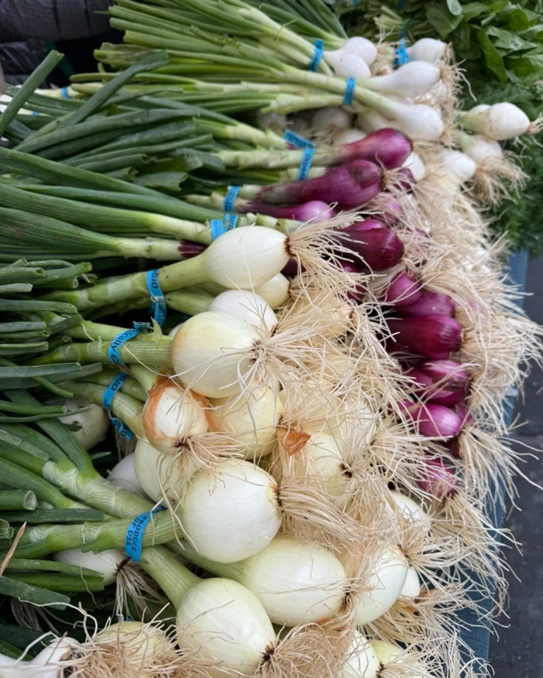 🌎Earth Day is just around the corner. Adding a trip to the farmers' market for local produce is a great step toward a more sustainable food system. Locally grown produce travels a much shorter distance than produce found at the grocery store. This m