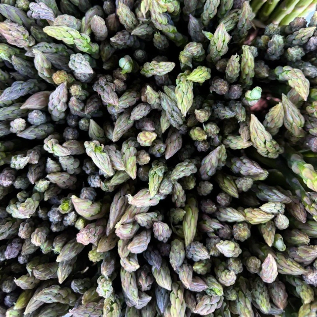 🌎Happy Earth Day. Supporting local small farms is a great way to make a positive impact.  Locally grown produce travels a much shorter distance than produce found at the grocery store, greatly reducing your food's carbon footprint.
🌱Choose seasonal