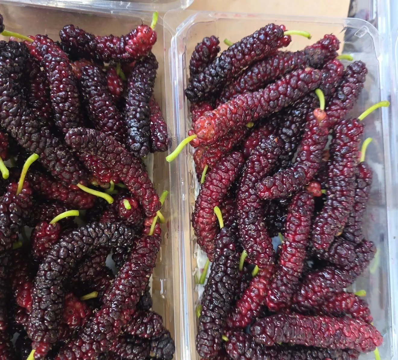Mulberries, sour plums, apricots, green almonds and more at @cmcfarms today at market! Come by the Daly City Farmers&rsquo; Markets for spring produce and more from 9am-1pm!
.
.
photo credit: @cmcfarms
#dalycityfarmersmarket
