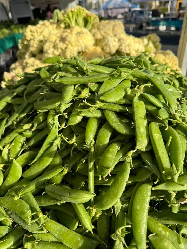 Sugar snap peas are a spring veggie that all ages reach for! Snap peas are crunchy and sweet. They are a healthy snack to be enjoyed pod and all. The pod is often sweeter than the peas. Snap off the ends and remove the string along the pod and you're