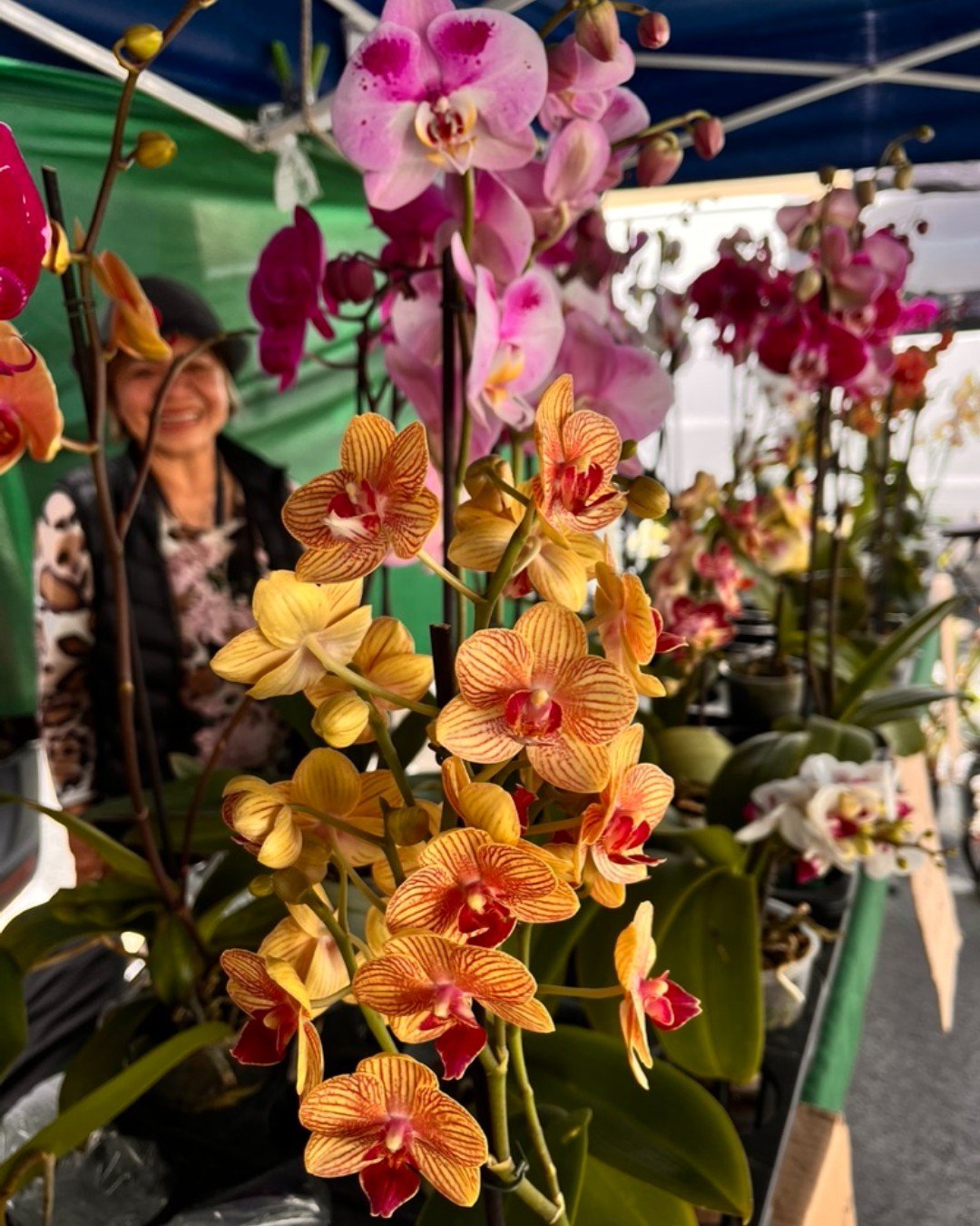 Find something special for Mother's Day at the Farmers' Market today!  Find a beautiful potted orchid, freshly-cut flowers, and artisan food as perfect gifts for Mother's Day.  Stop by market for locally made gifts.
.
.
#dalycityfarmersmarket