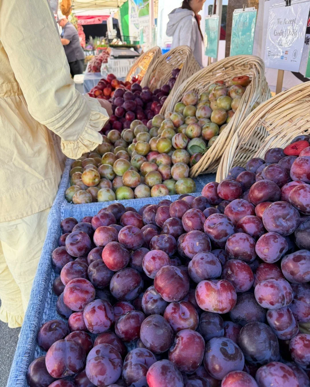 The fist harvest of peaches, nectarines, and pluots are in season now!  Oh how we have missed these sweet and juicy fruits!  Swing by market this Thursday &amp; Saturday and pick up some tree-ripening stone fruit for this weekend's Memorial Day gathe