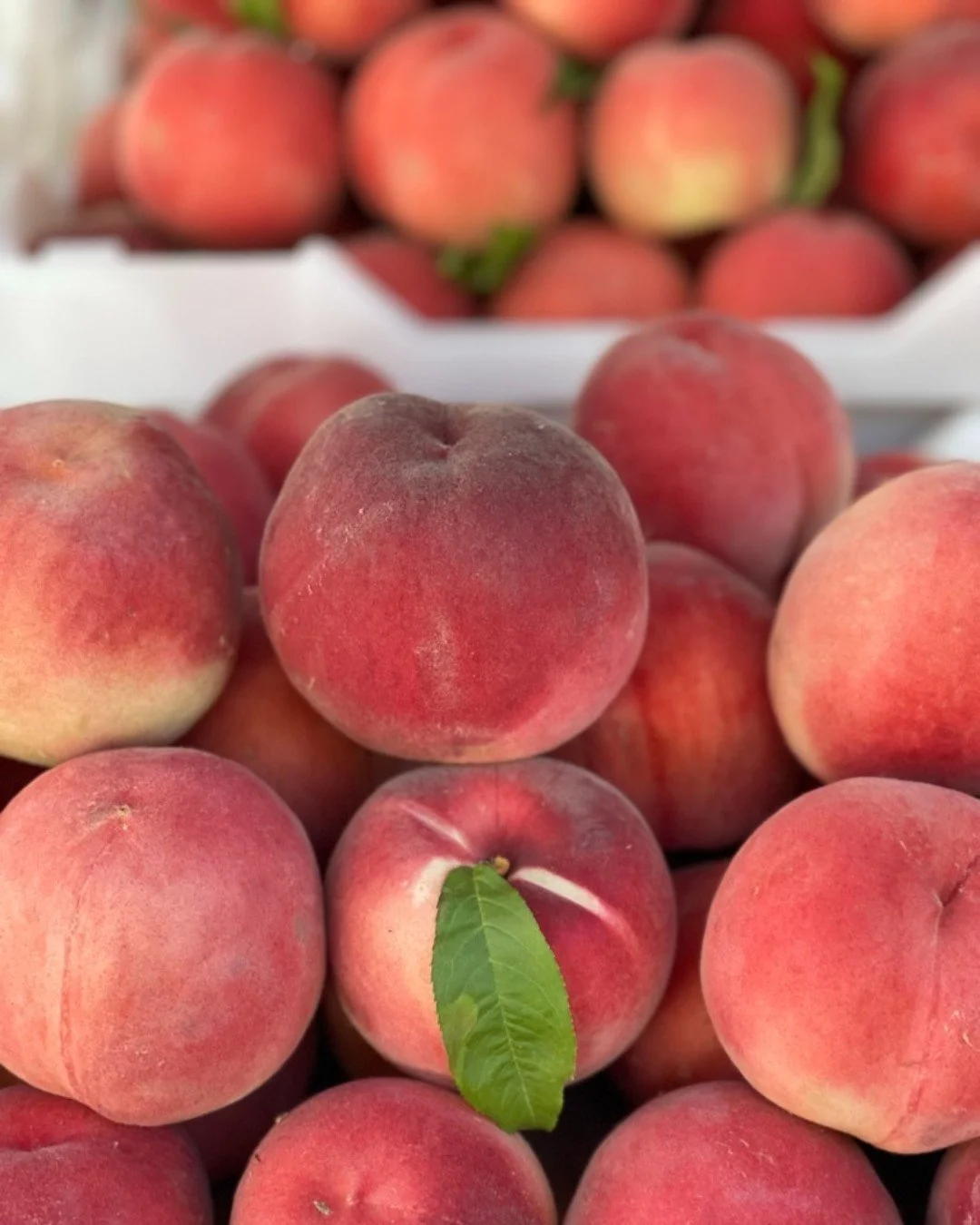 Stone fruit is is full swing!  Peaches, nectarines, plums, cherries and pluots are sweet and delicious!  Check out what's in season this weekend!