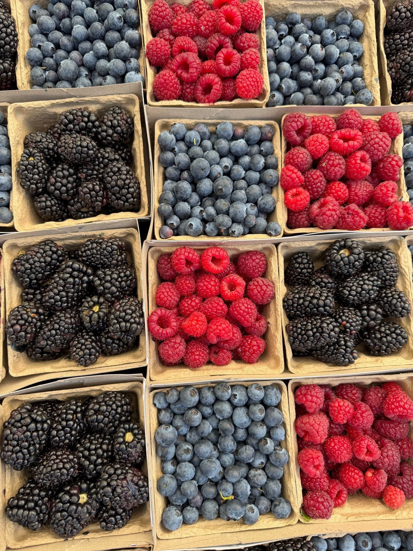Berries, berries &amp; more! Black berries are very sweet these days! come to market and check out what&rsquo;s in season!