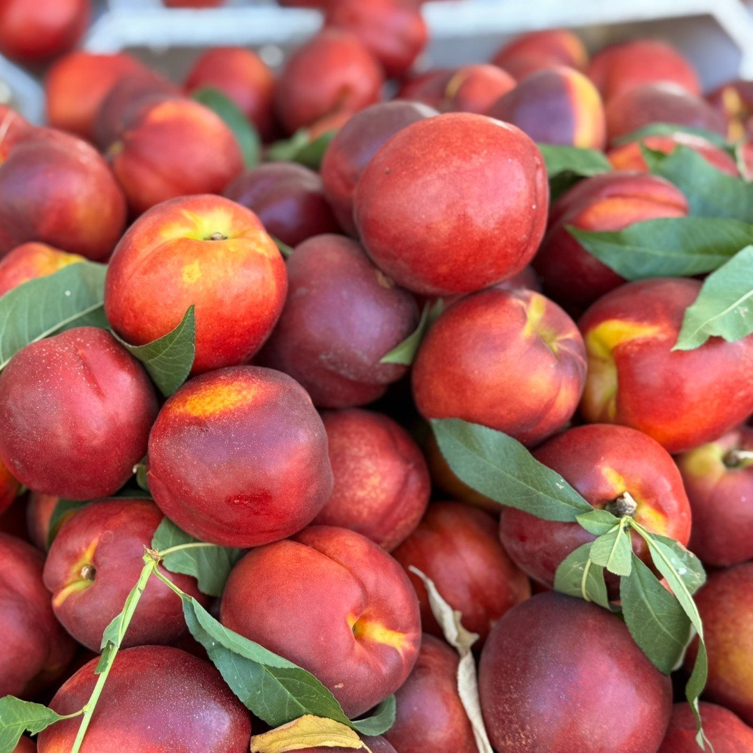 🌹It's time to smell the roses! Did you know these stone fruits are part of the Rosaceae (rose) family?
It&rsquo;s true! Peaches and nectarines belong to the Rosaceae (rose) family, which makes total sense given how sweet, fragrant, and lovely they a
