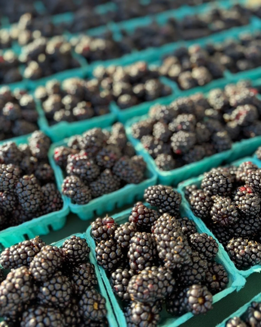 When selecting blackberries, look for berries that are dark in color, this signals ripeness. Wash berries just before consuming.

Cooking With Blackberries? Balance out tartness when cooking with blackberries by adding lemon zest, sugar or honey, and