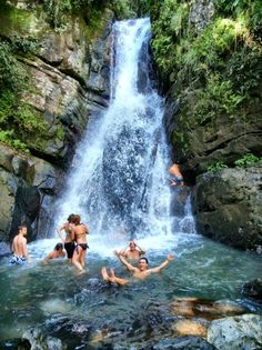 El Yunque National Rain forest