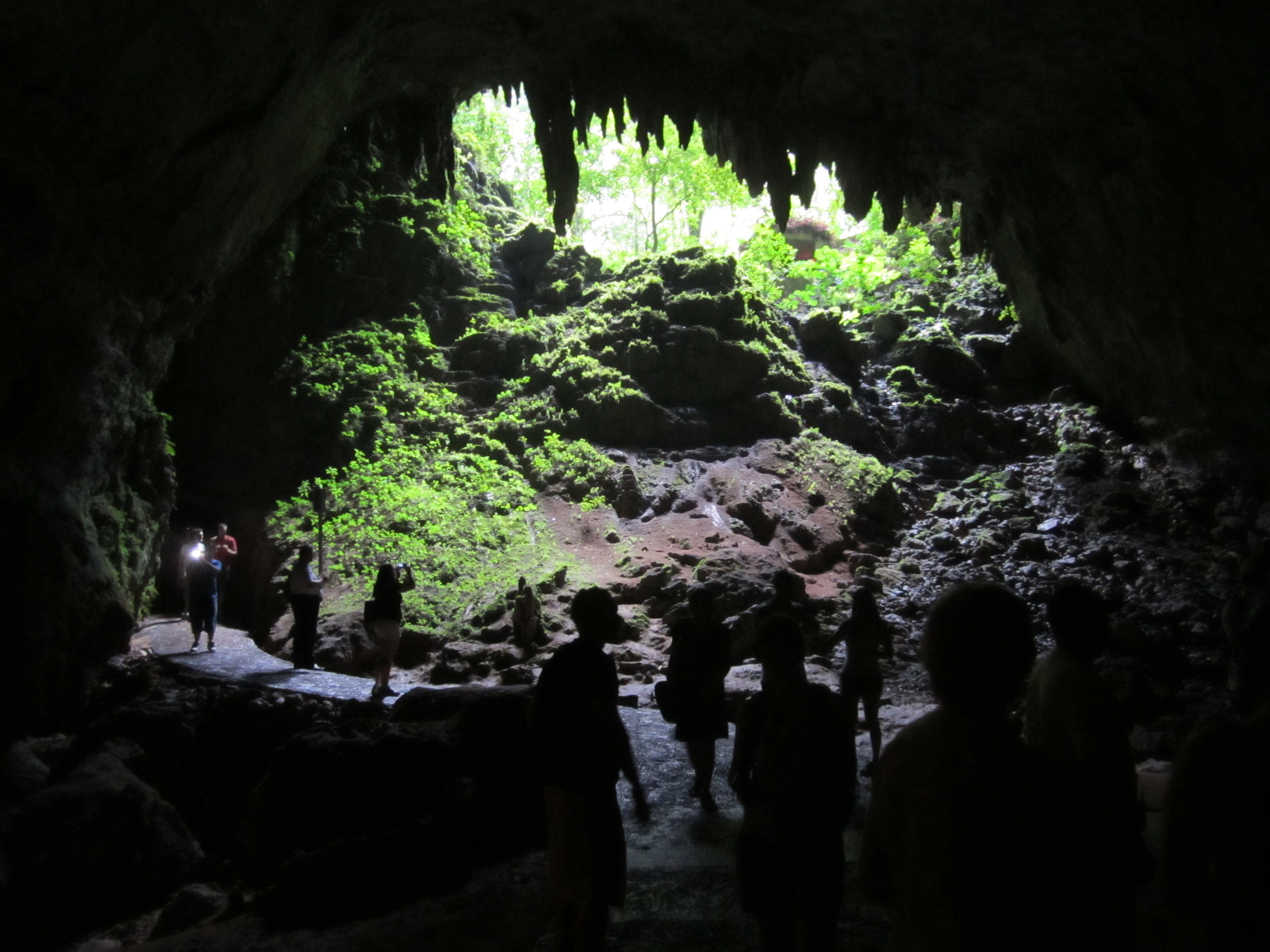 Rio Camuy Caves