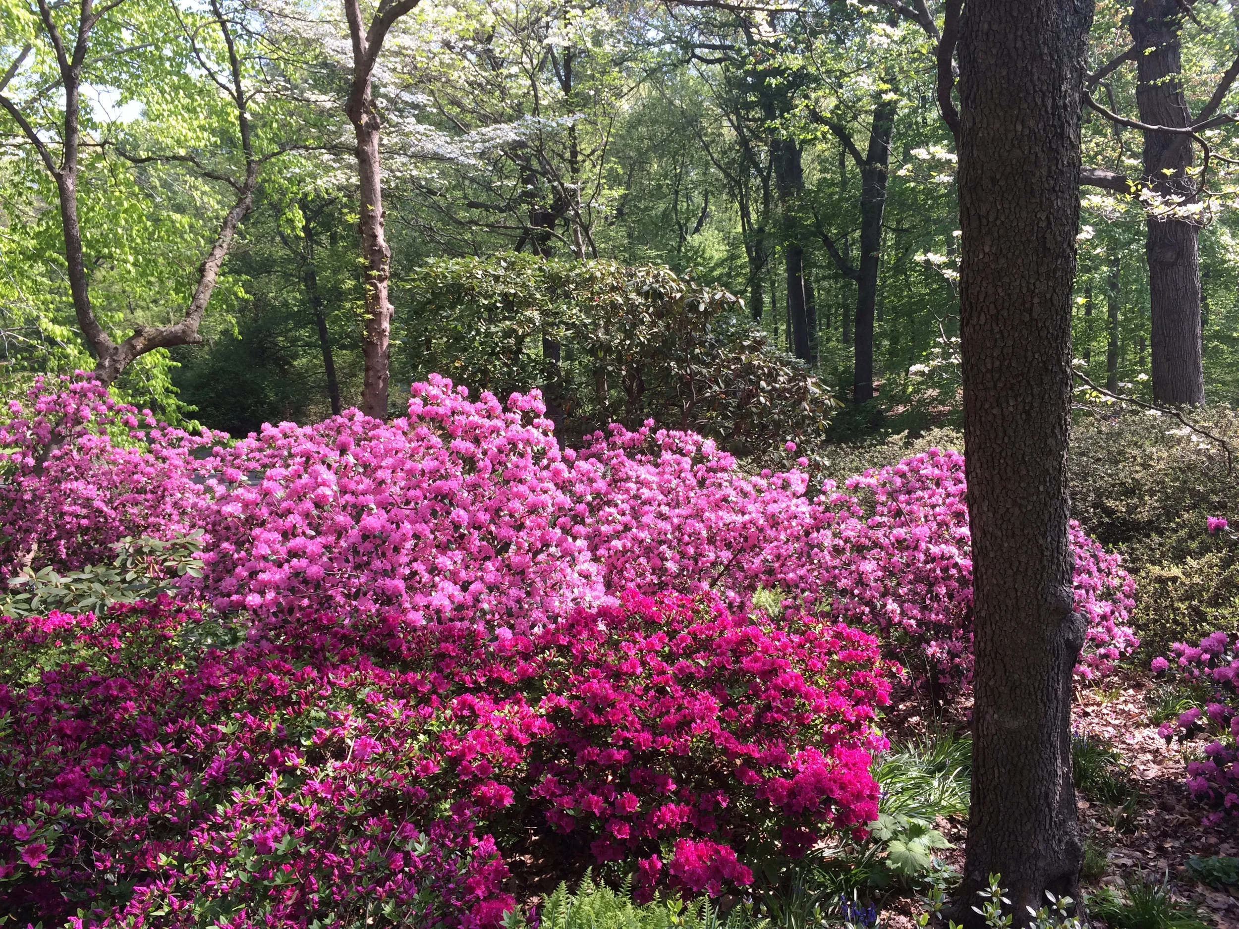 Spring is in the Air