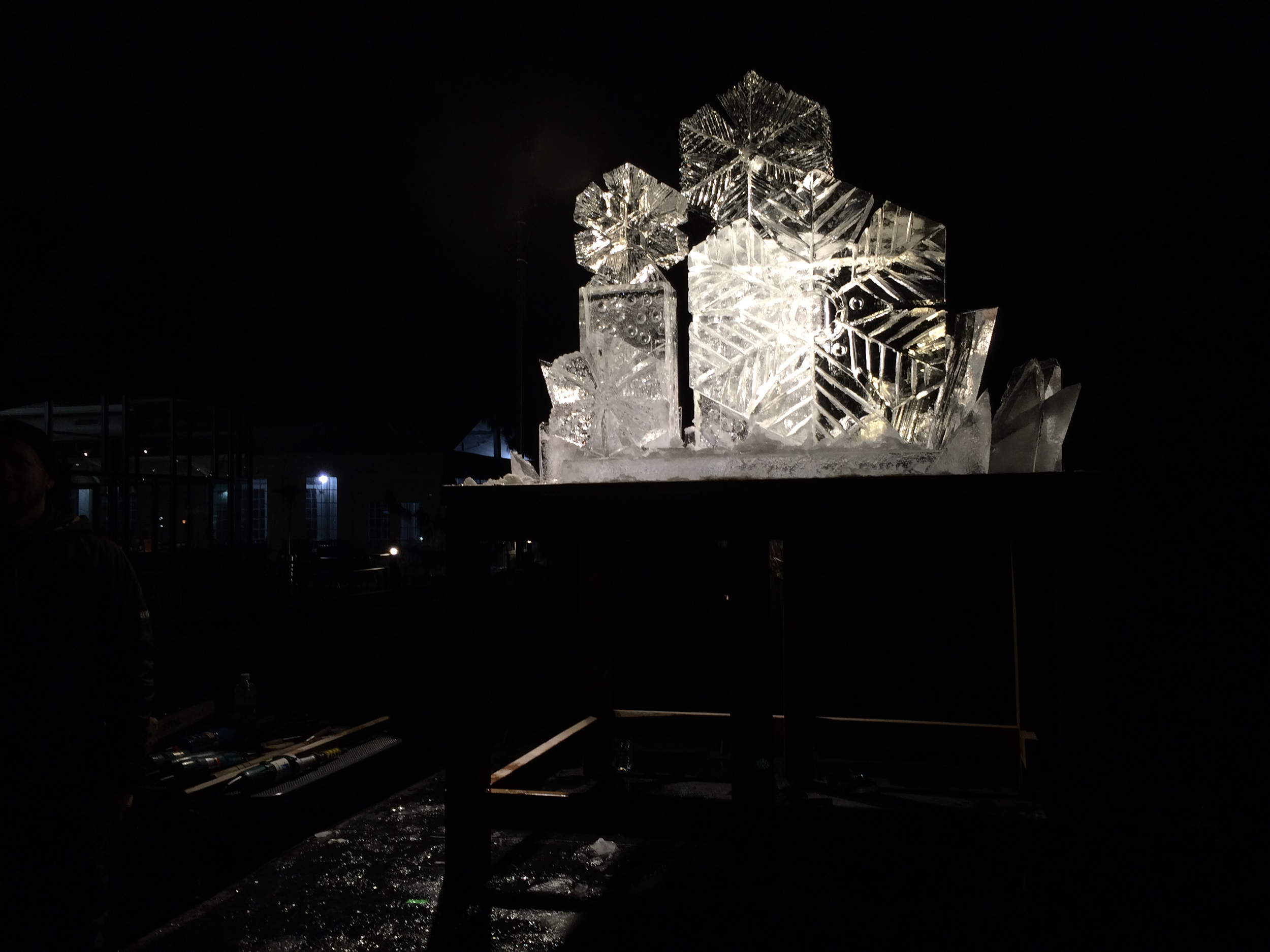 New York Botanical Garden Ice Sculpture