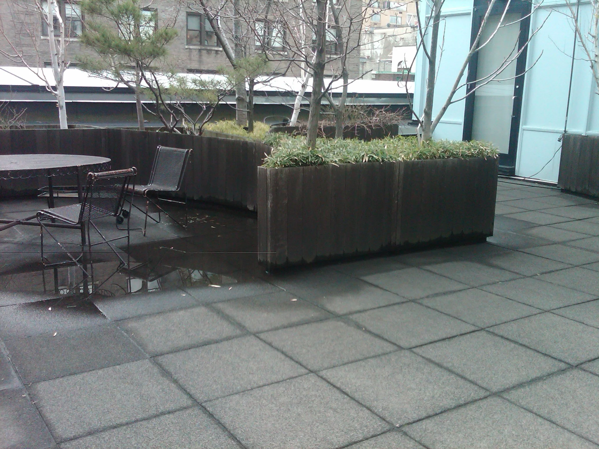 Gogosian Roof Garden.jpg