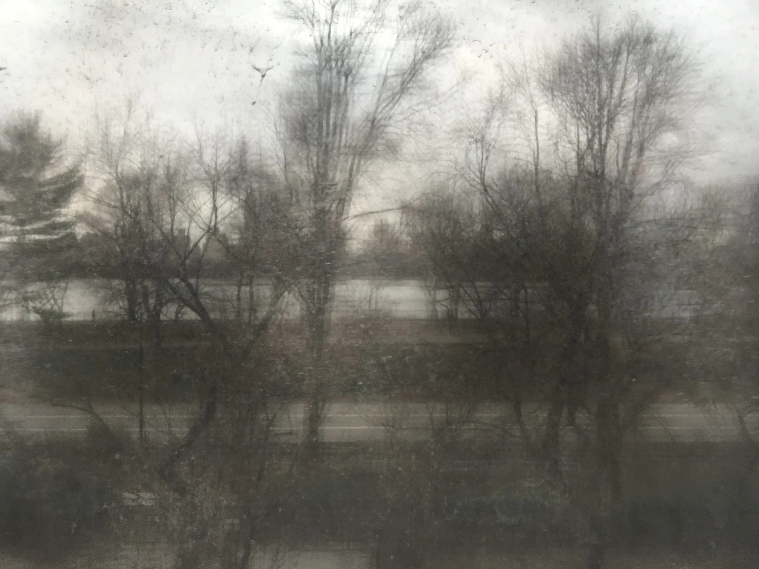 Opening shot 3of3 copy.JPG