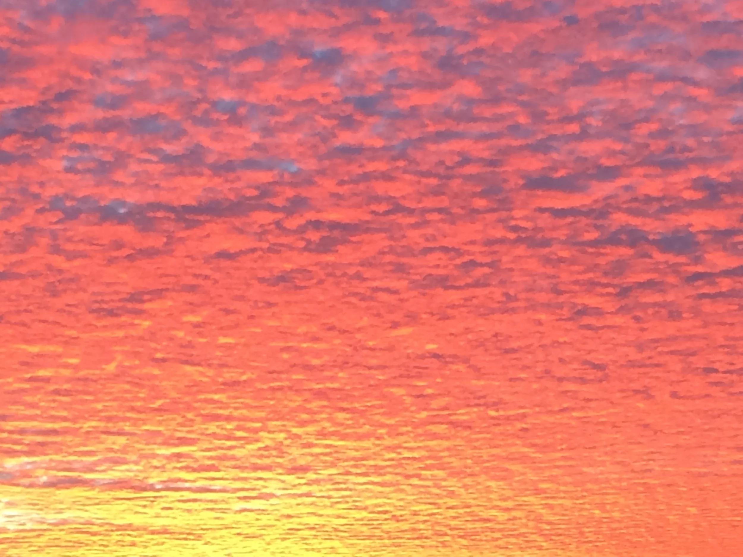 Sunrise Larch Terr.JPG