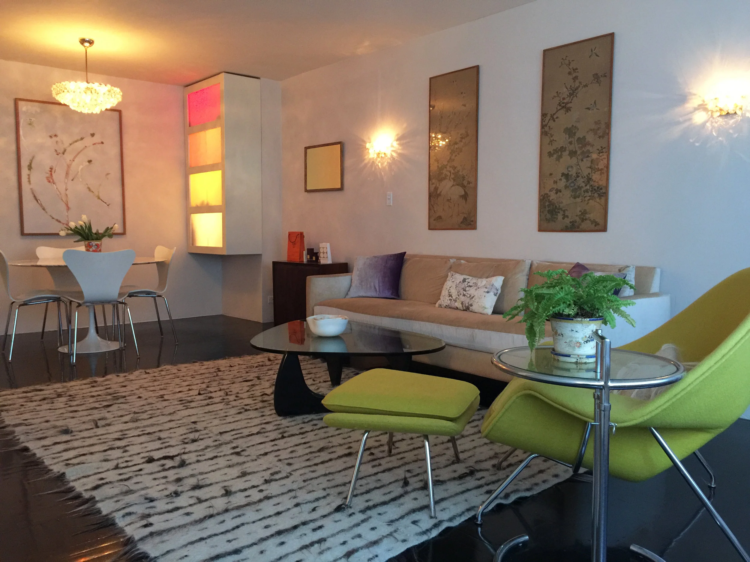 Studio fern fore.jpeg