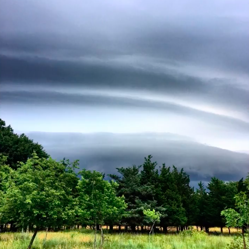 Screen Shot 2018-09-07 at 10.51.23 PM copy.png