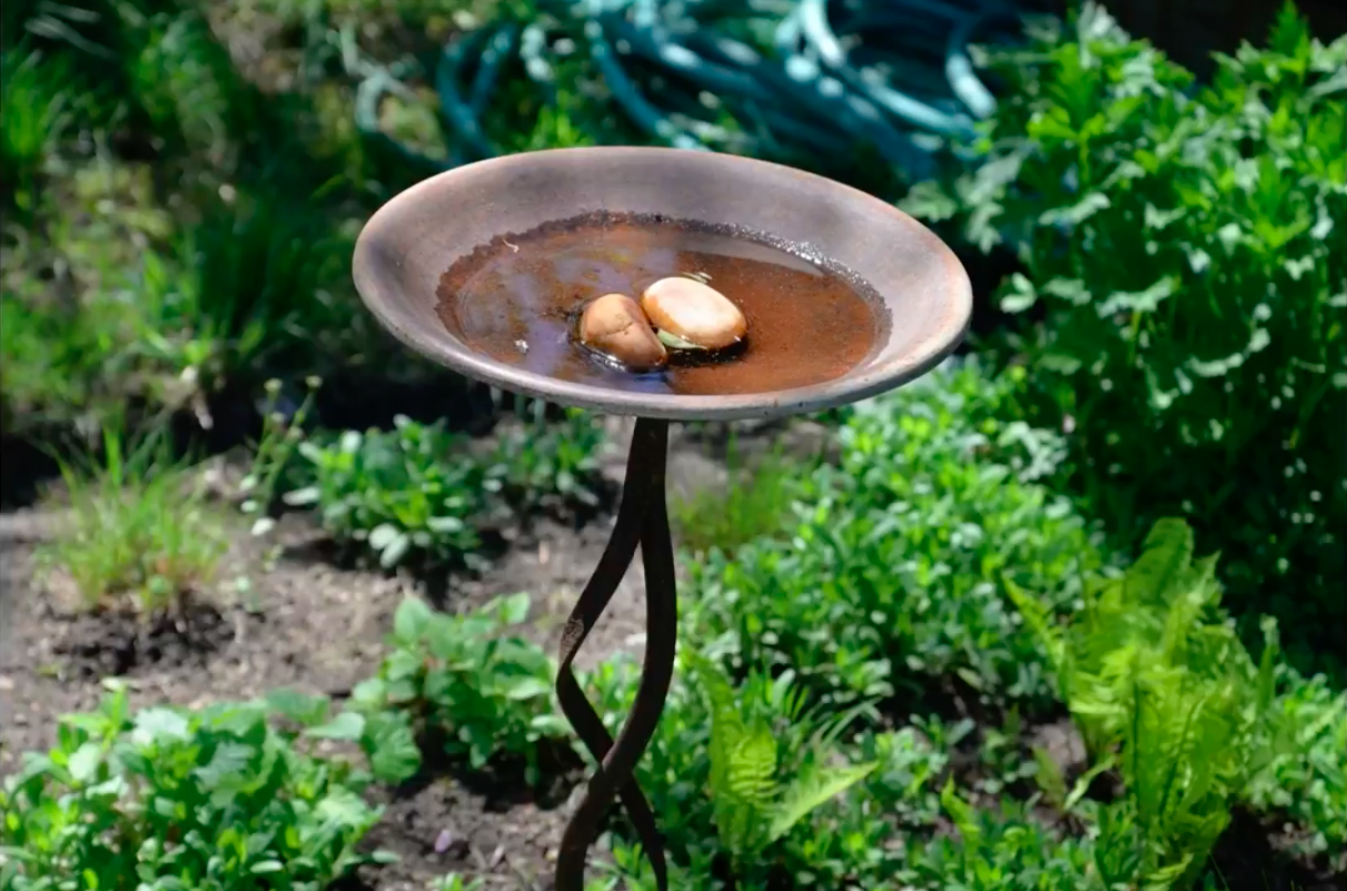 Water feature bee feeder.png