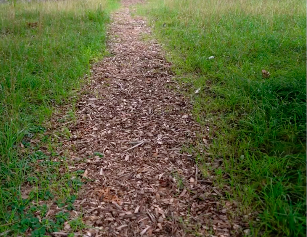 Wood chips path.png
