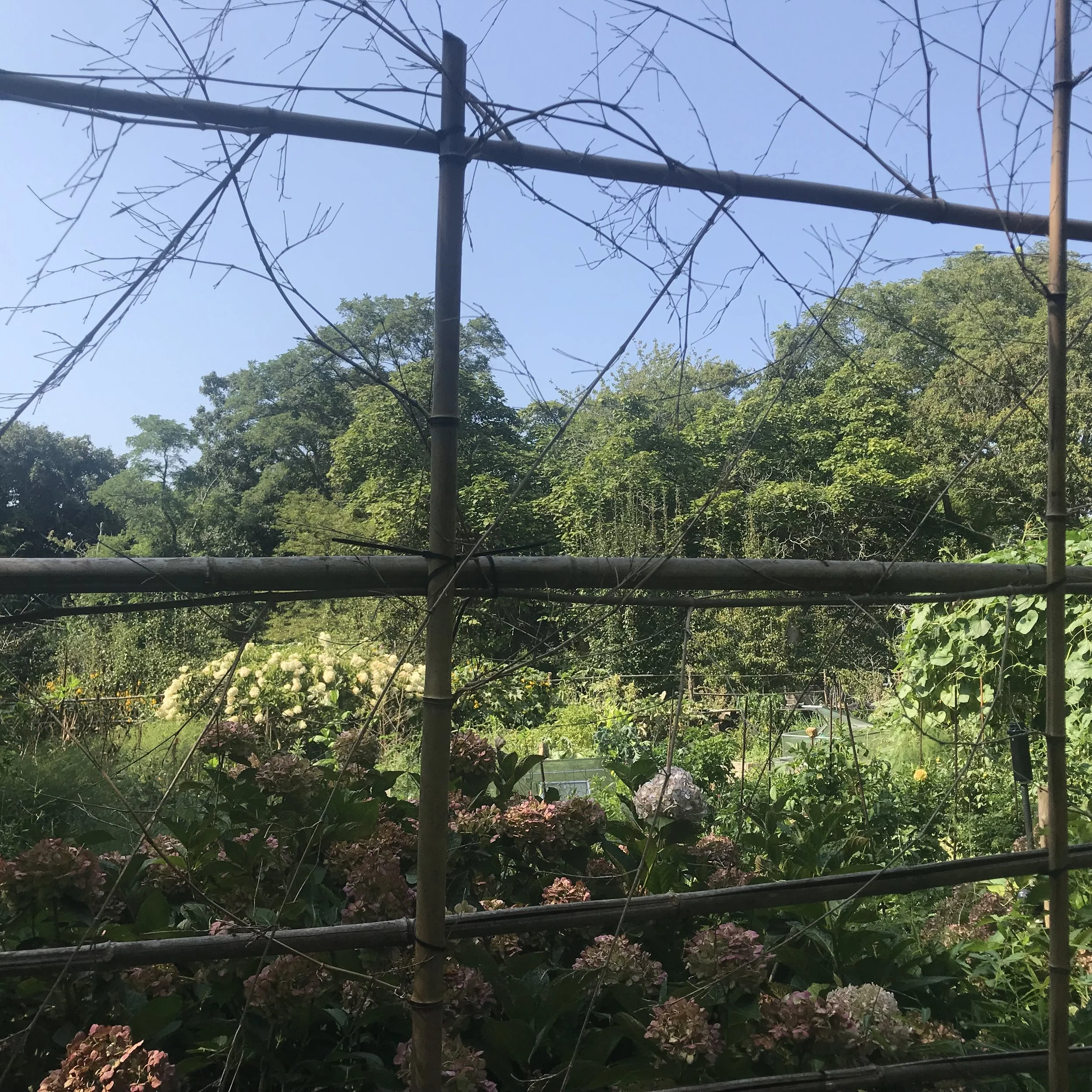 Fence to keep deer out of veg garden 2.jpg