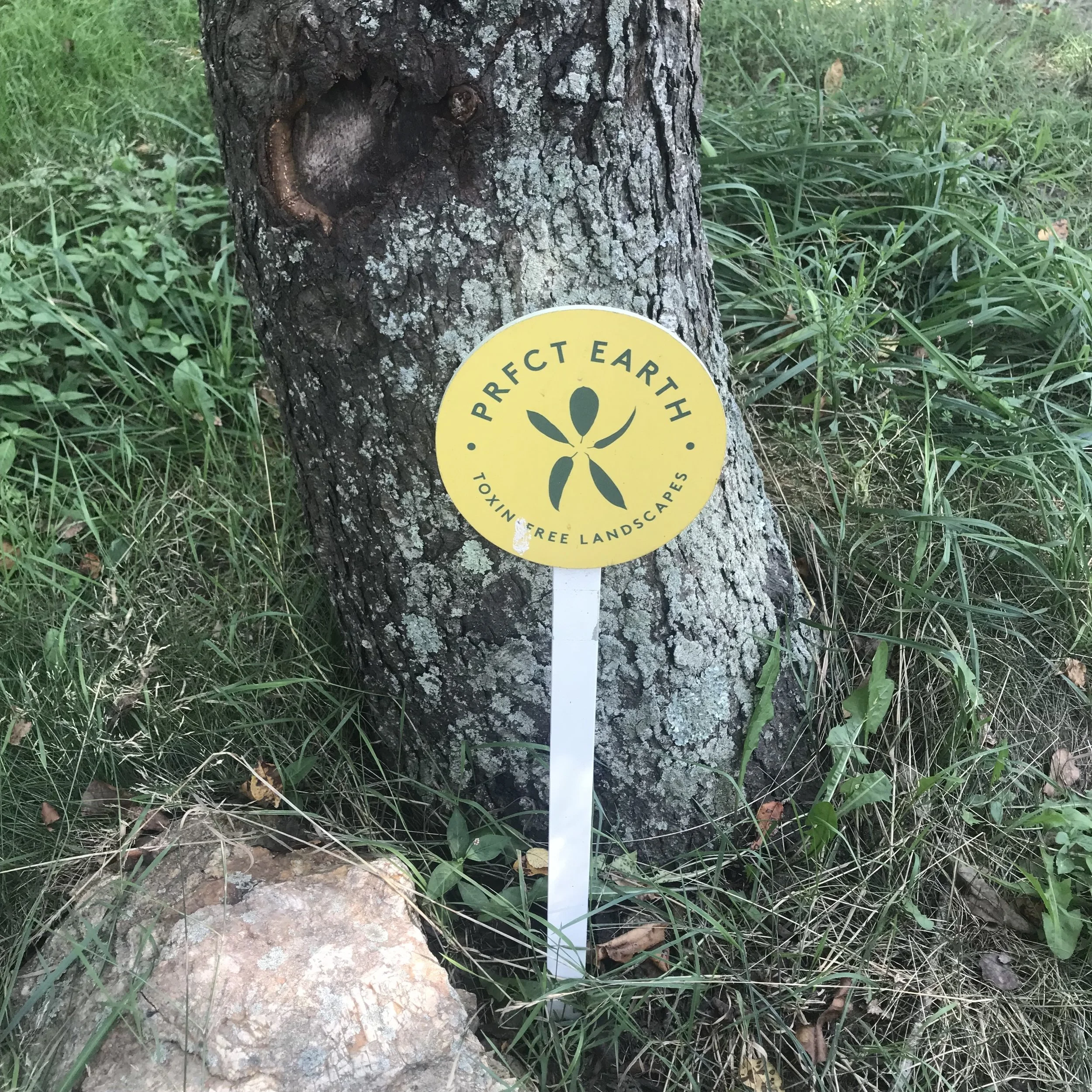 J Prfct Earth project sign.jpg