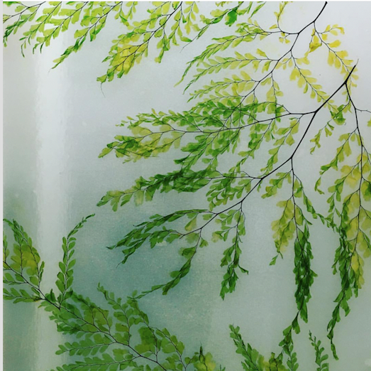 pressed ferns in plexi 2.png