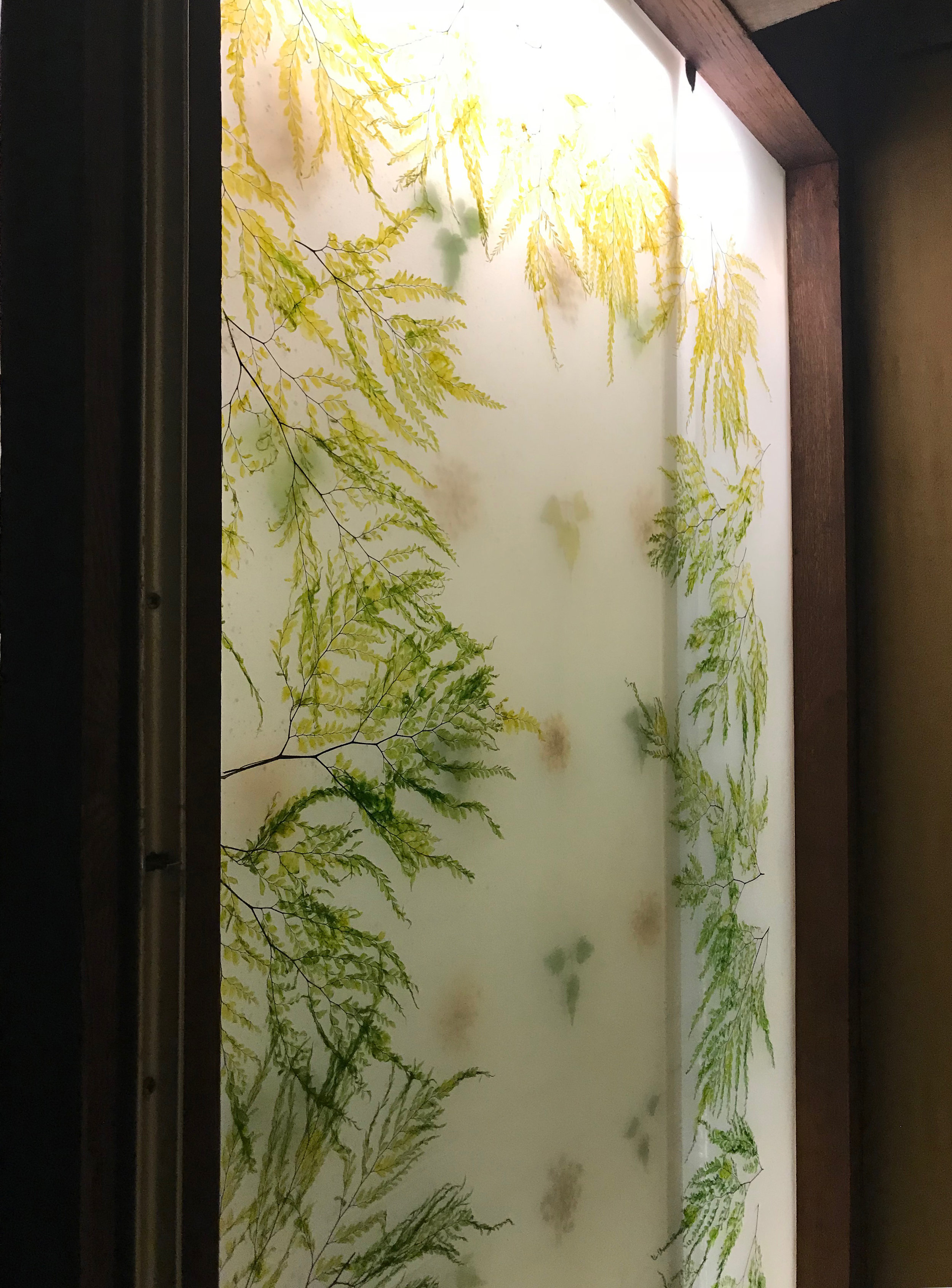 ferns pressed into plexiglass panels as sliding door room deviders.jpg