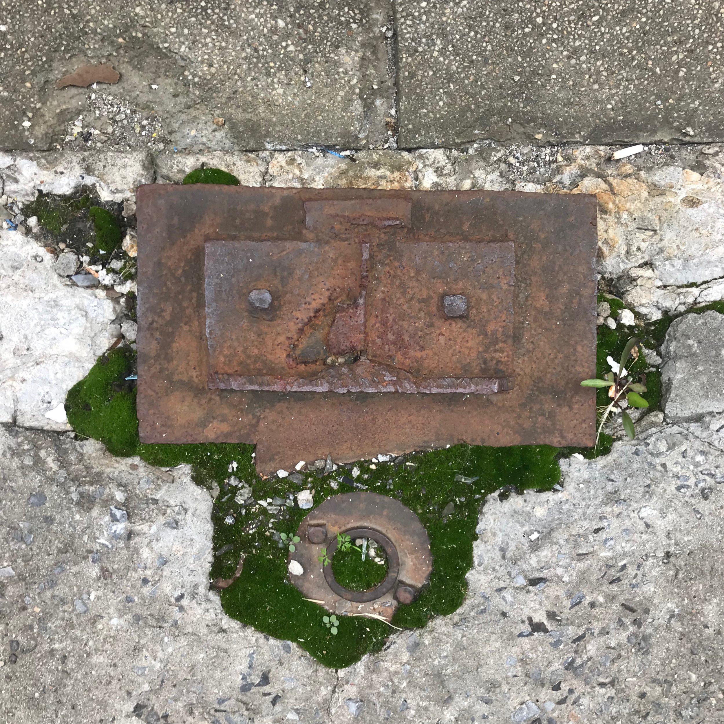 Nature rules copy.jpg