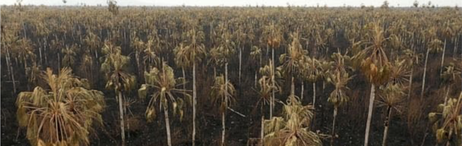 Bolivian national park ablaze