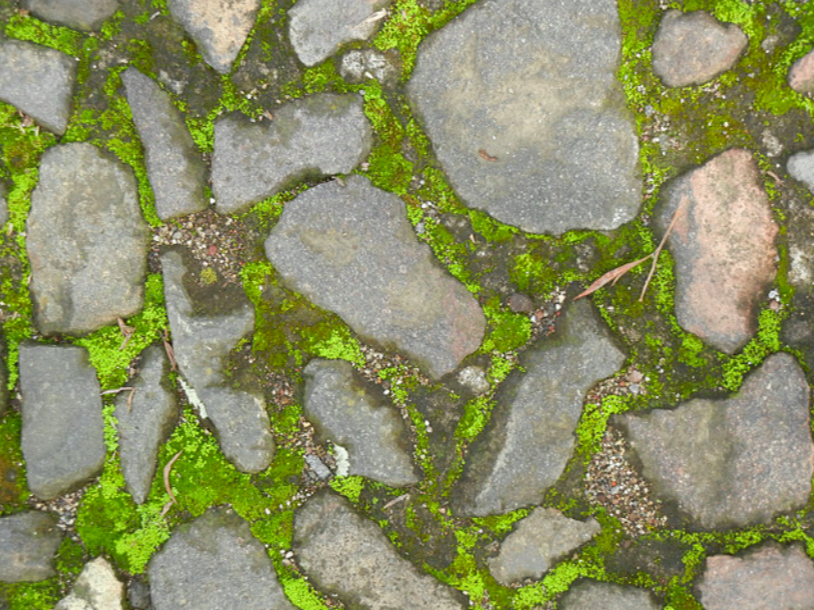 Screen Shot 2019-12-07 at 4.14.02 PM.png