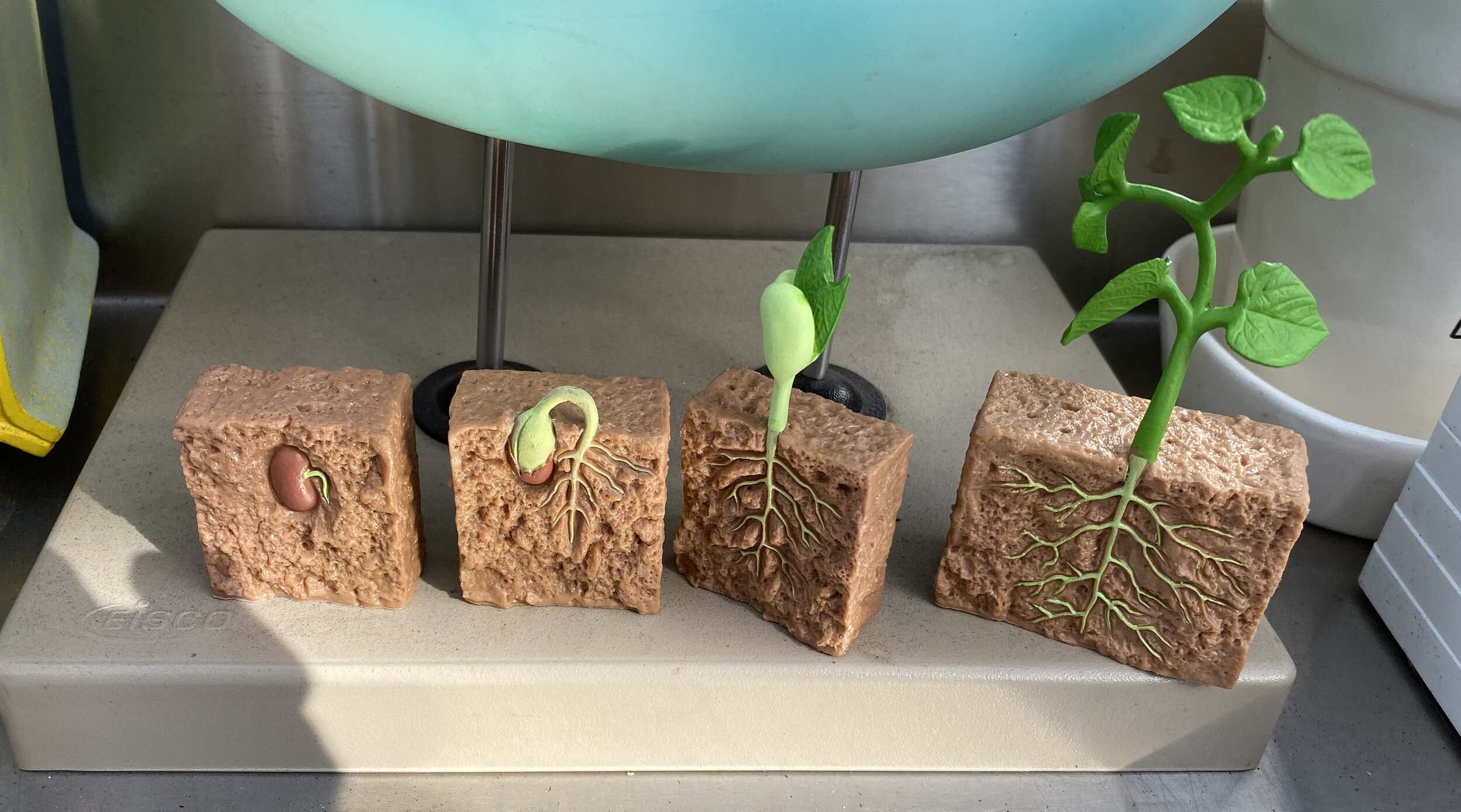 I Went Looking To Conquer The Plant World And Instead It Conquered Me