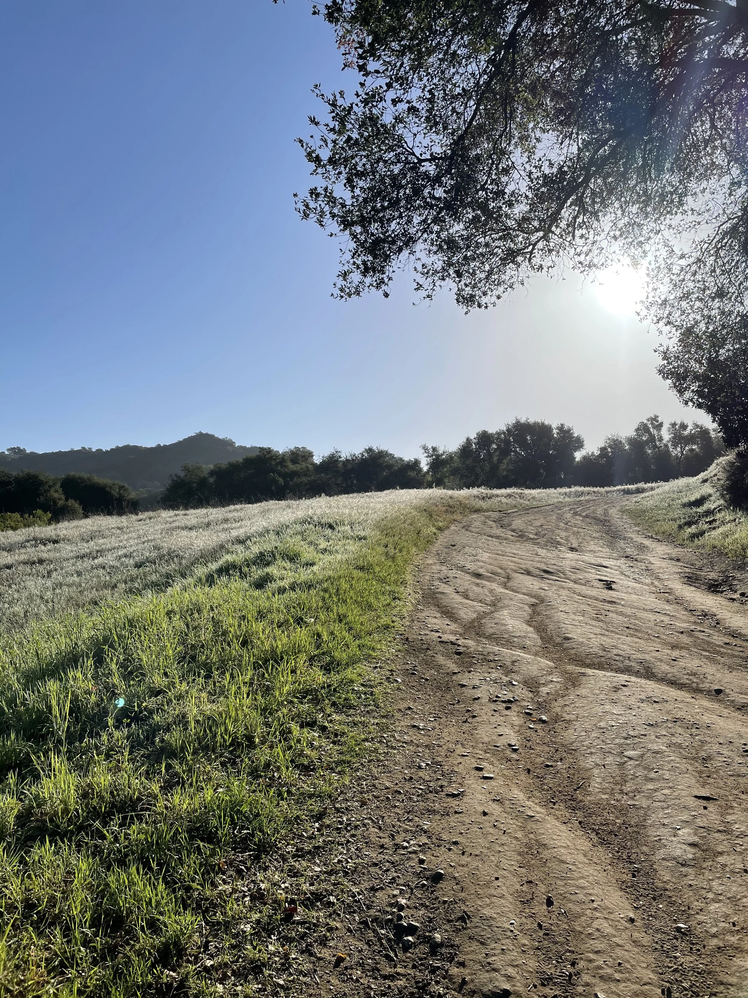 Fleeting Moments Series - Exploring the Spirit - Glue of the Universe