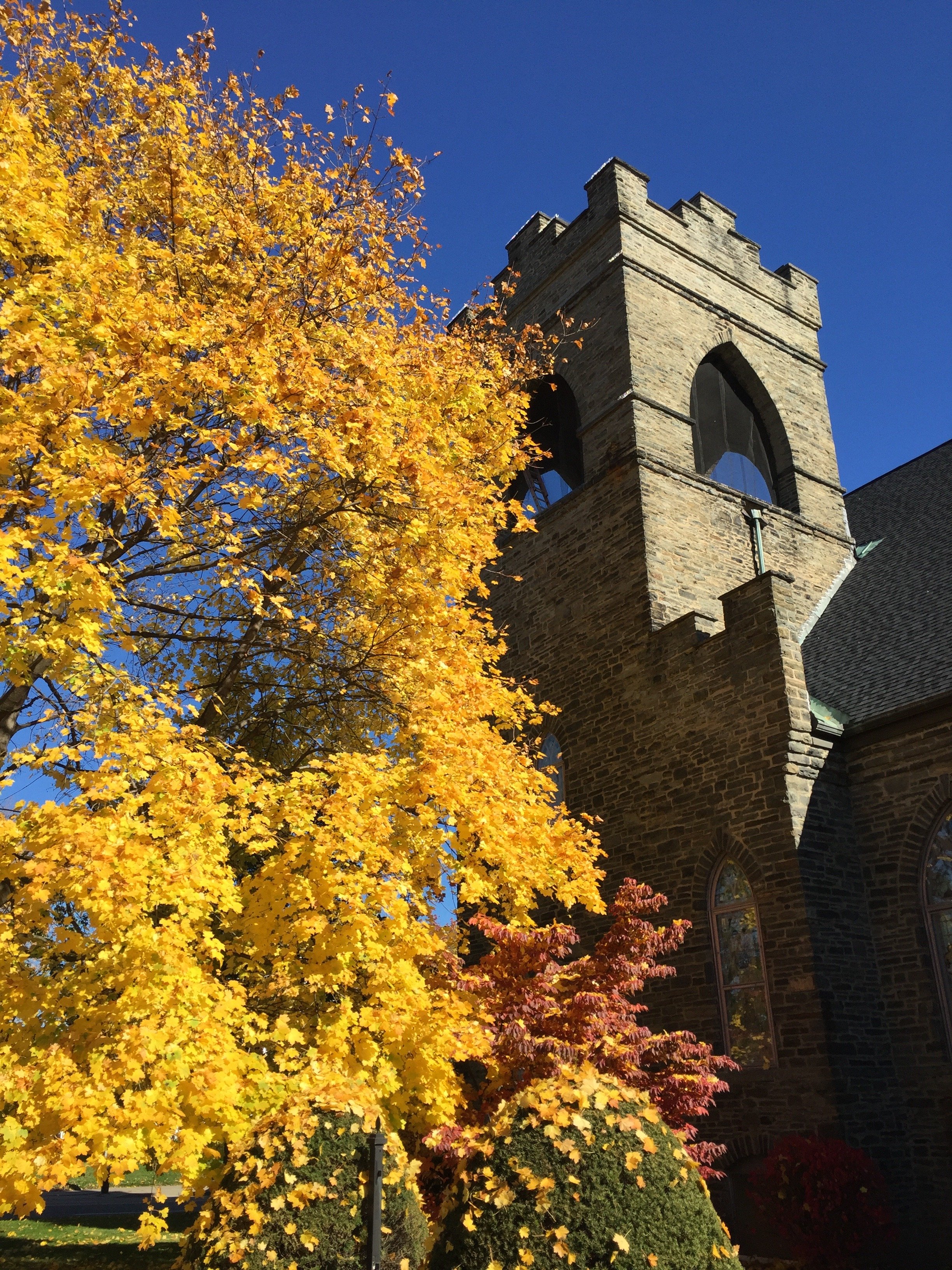 UPC in Autumn.JPG