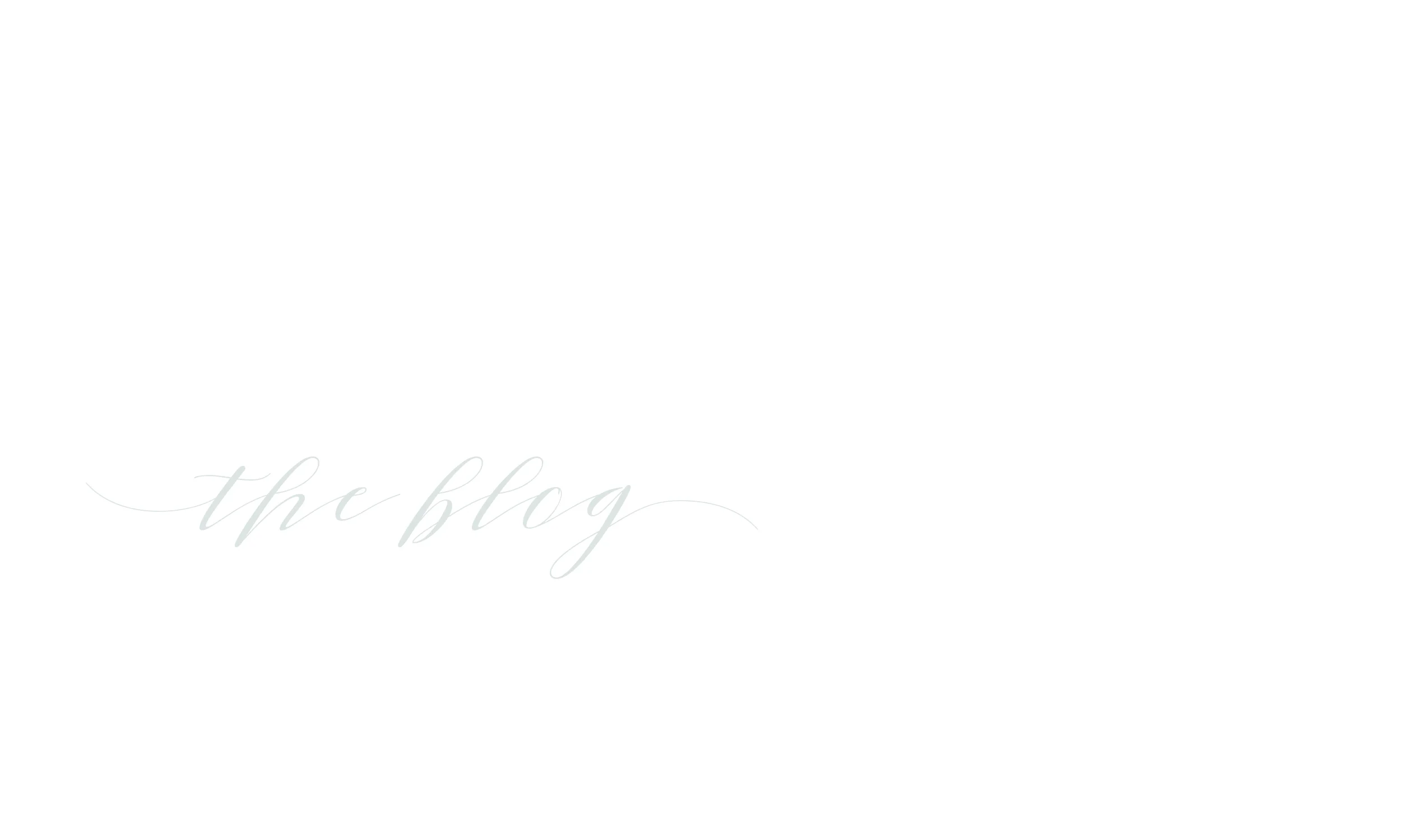 chelseablogbanner.jpg