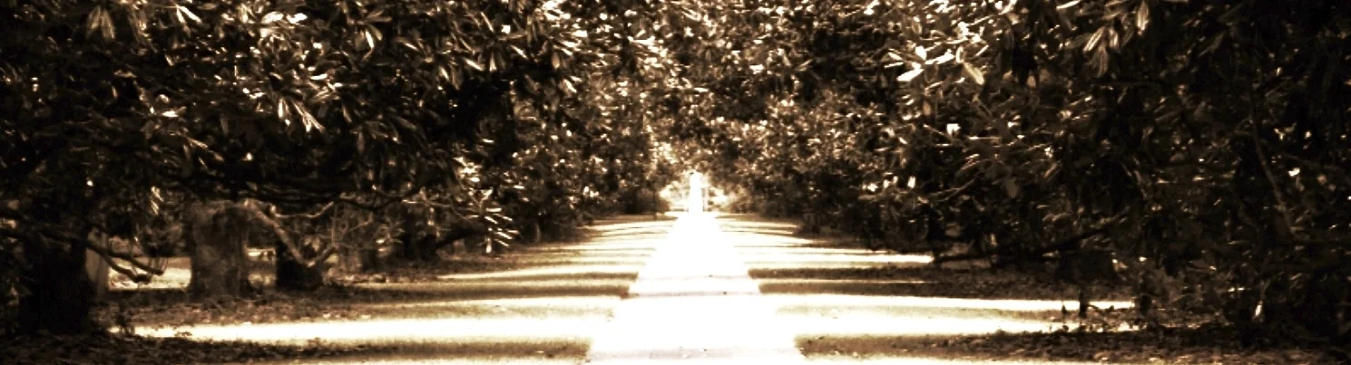 Myrtle Beach - 2006 037.jpg