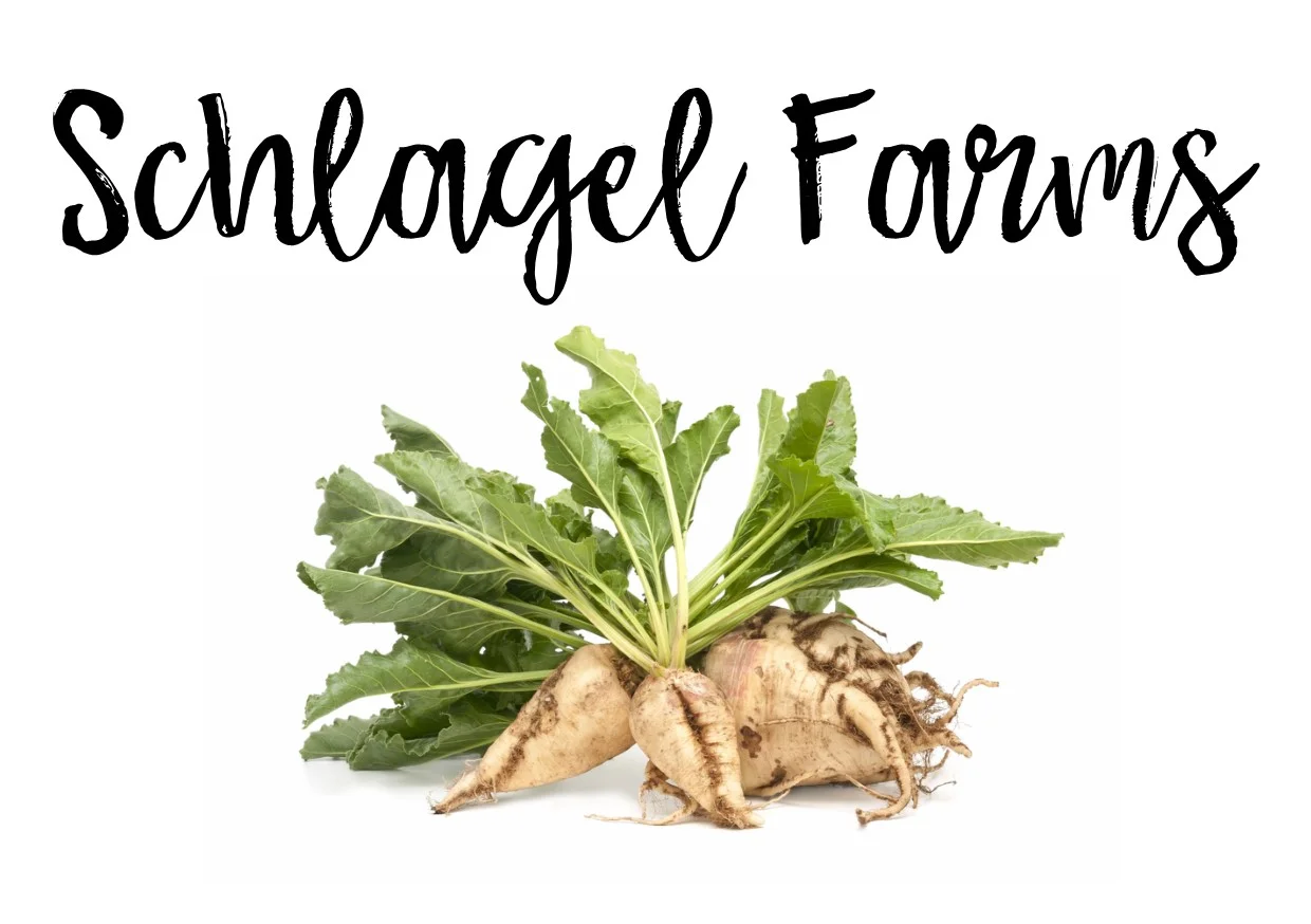 schlagel web card.jpg