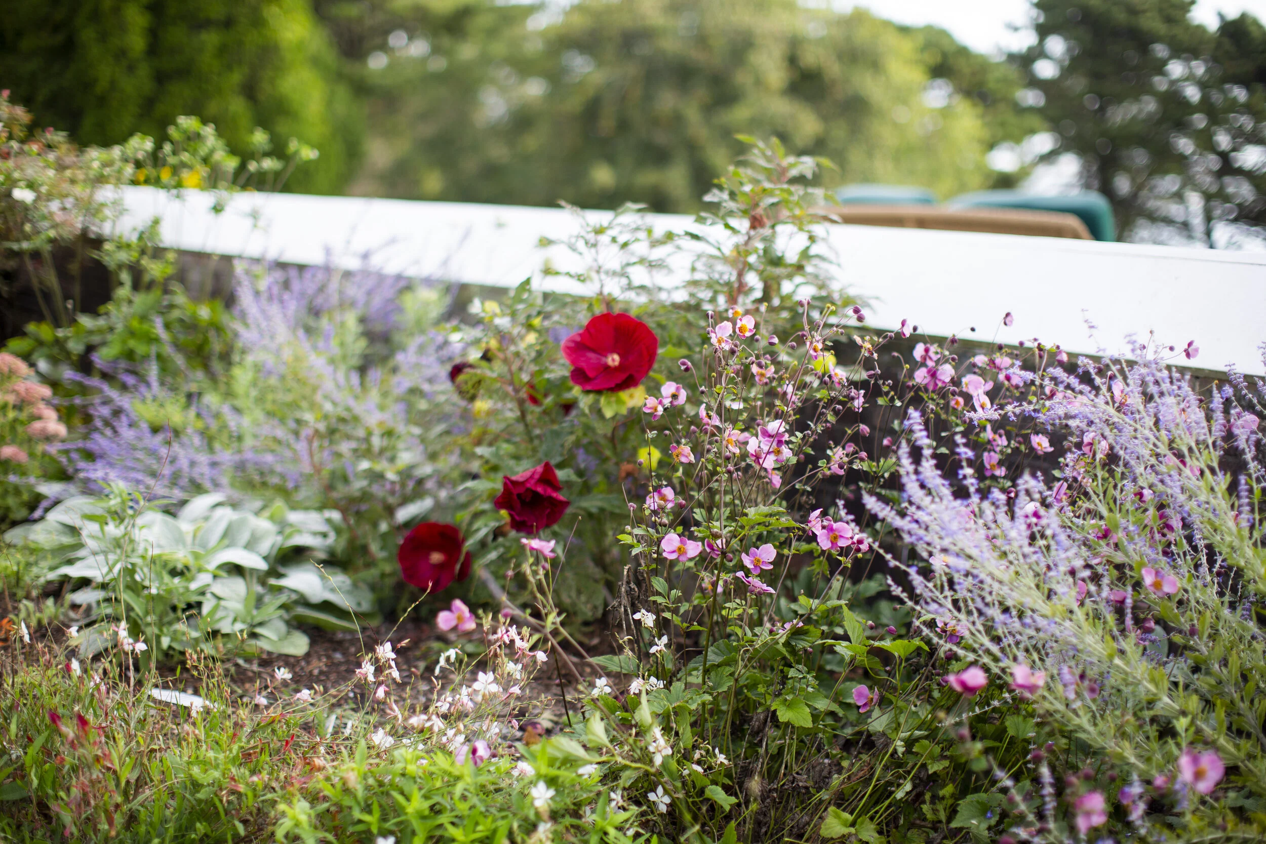 August Garden