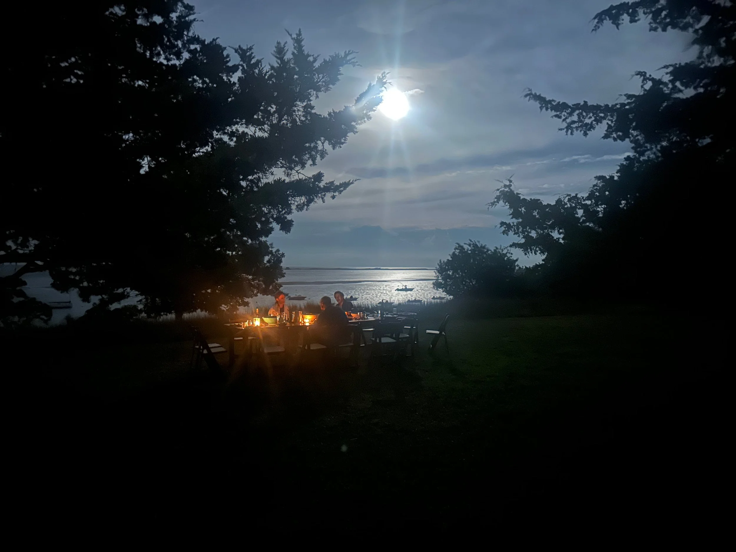 Dinner in the Moonlight