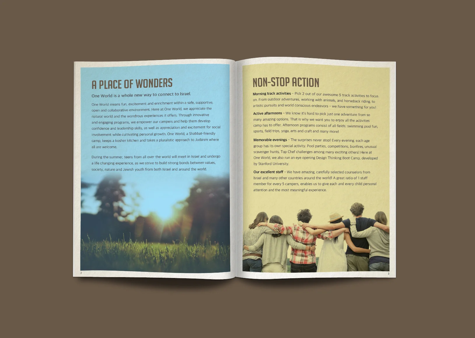    Designing a&nbsp;  Brochure 