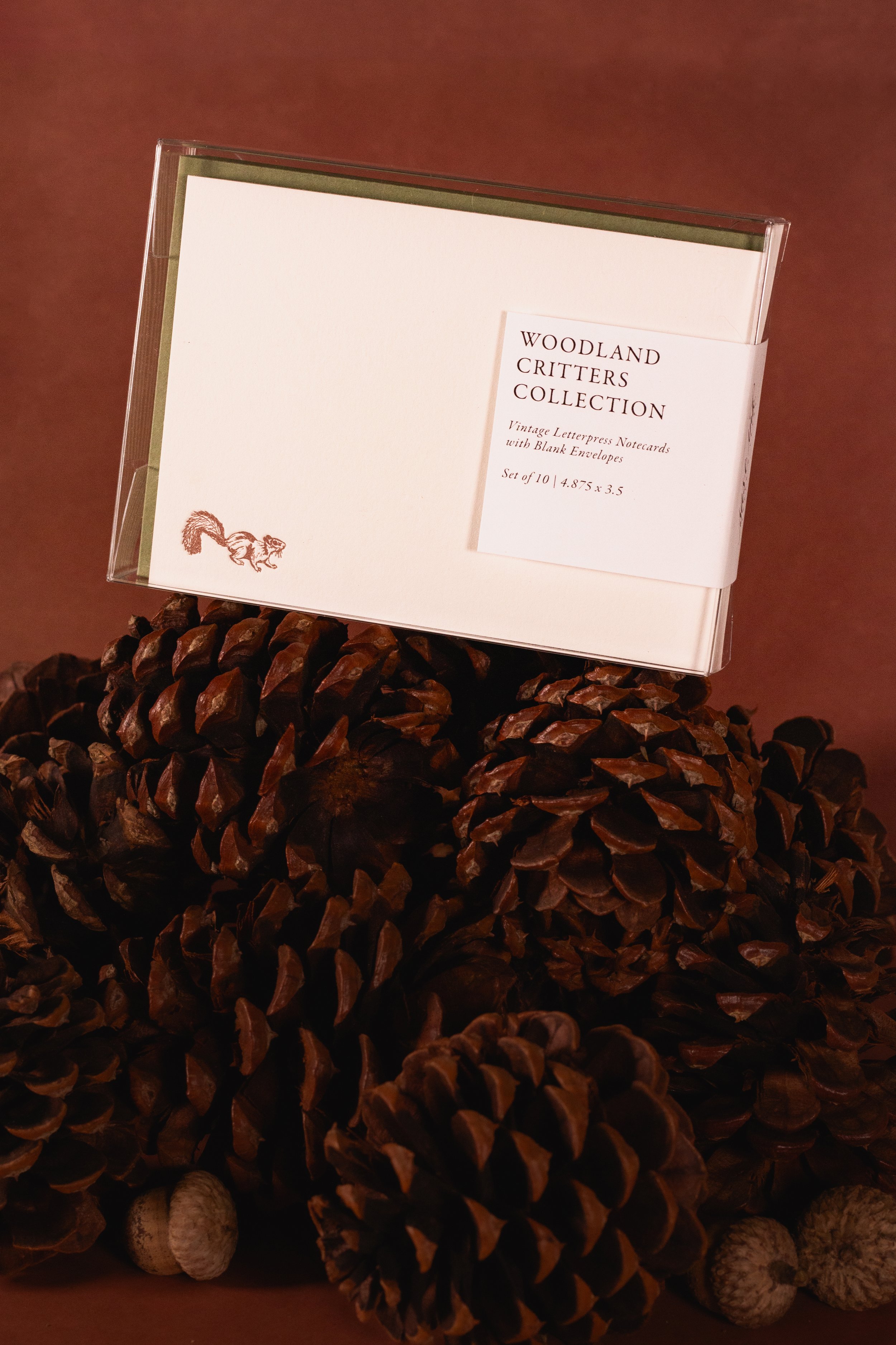 Fall Notecards-2.jpg