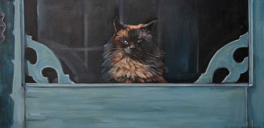 Ragdoll Cat - Blue Eyes Inside